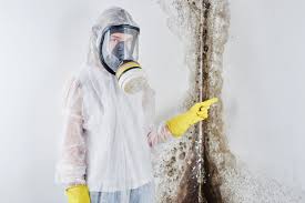 Best Mold Remediation for Healthcare Facilities  in Prosperity, SC